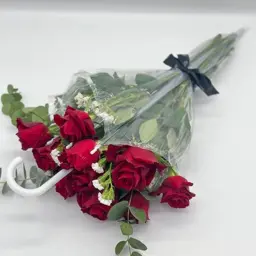 Transparent Umbrella