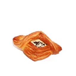 دانش لبنة وعسل