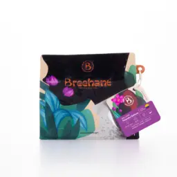 Brihant Colombia Blandas