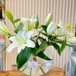 White Casablanca Vase