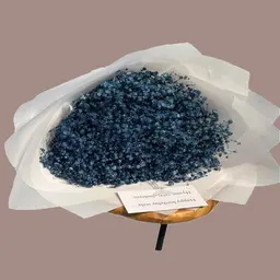 باقة جبسوفيليا