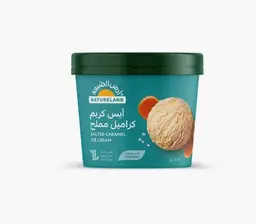 Natureland Salted Caramel Ice Cream 125ml