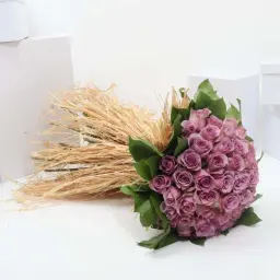 ايه 11