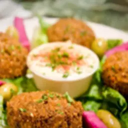 Regular Falafel Plate