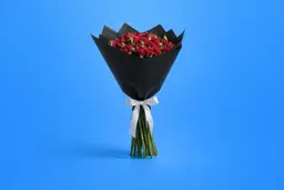 Velvet Spray Red Roses Bouquet 0299