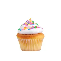 Coconut Cupcake