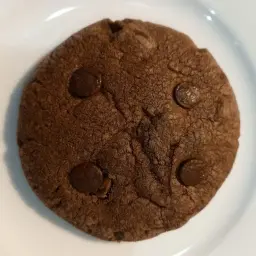 Double Chocolate Chip Cookies