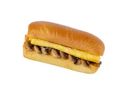 أومليت هيوستن