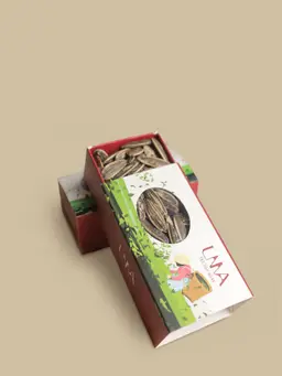 حب شمسي