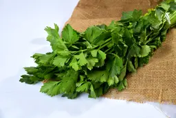 كزبرة بالرابطة