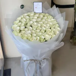 باقة النقاء