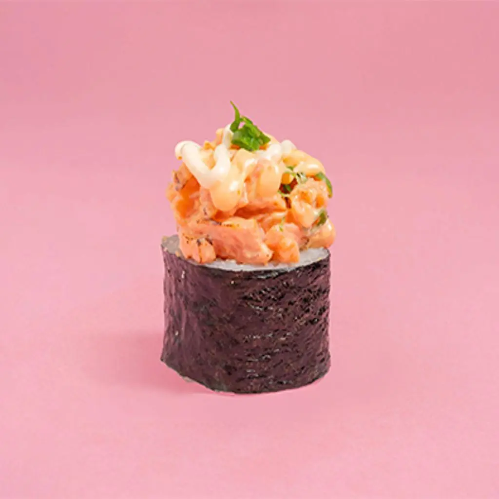 Salmon Tour- 4 piece