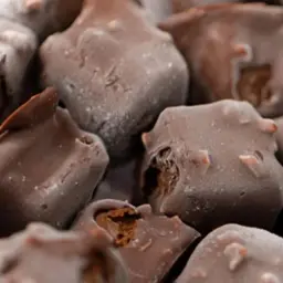 ميني بايتس