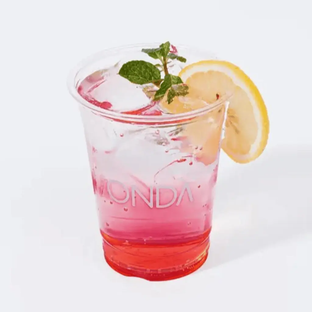Watermelon Mojito