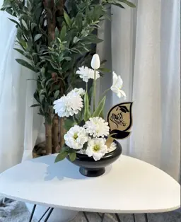 فازة التخرج الناعمة