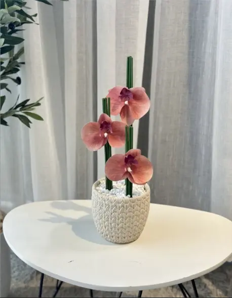 فازة المنعومه 3
