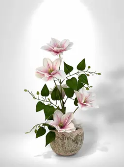 رِهاف