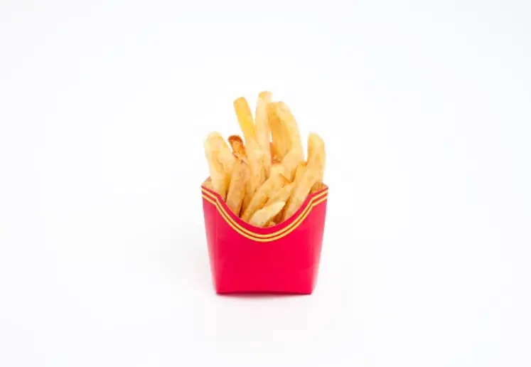 Fries Bag