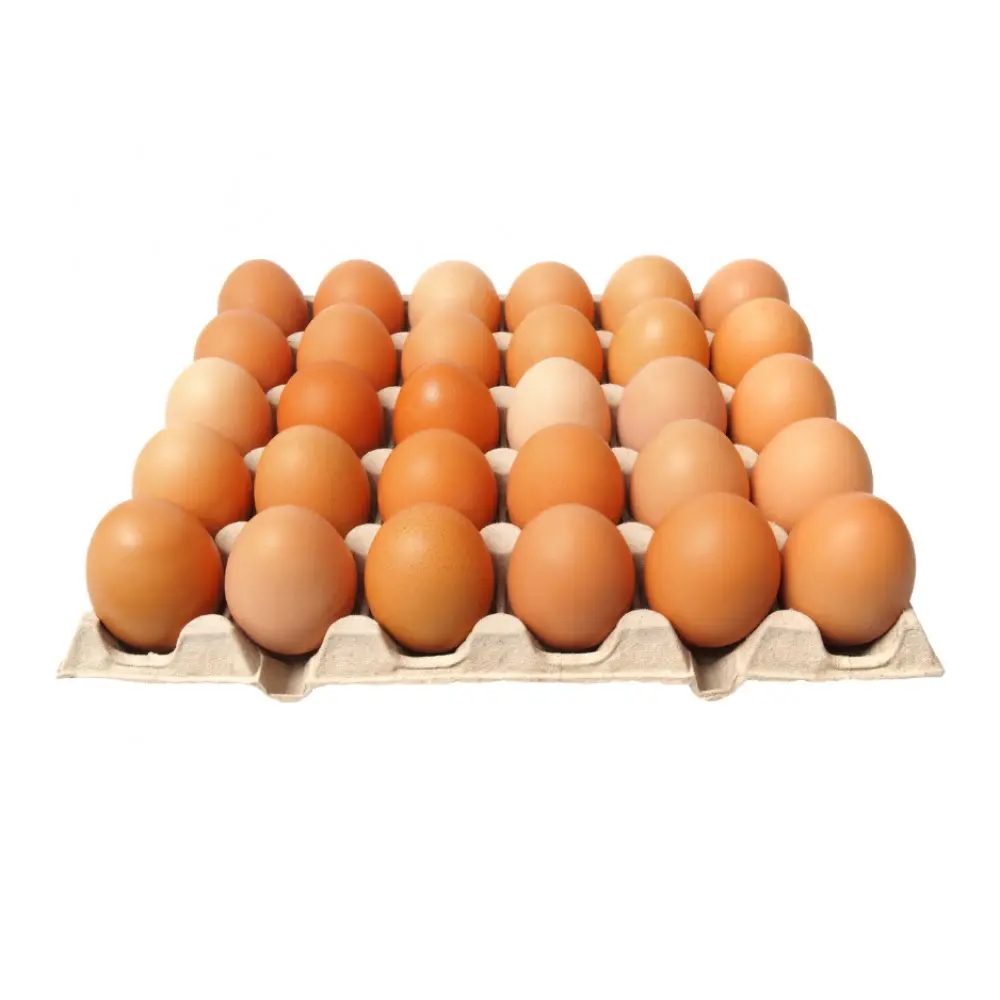 Baladi Eggs