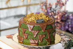 Pistachio Nutella Cake - Big