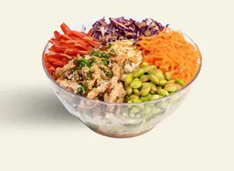 جاط حجم وسط سلطة اسيوية