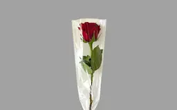 Red rose