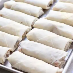 Frozen Spring Roll