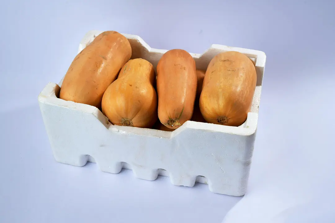 American pumpkin
