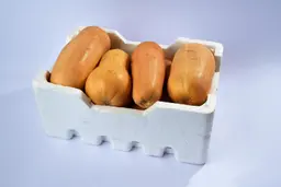 قرع امريكي