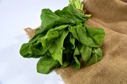 جرجير بالرابطة