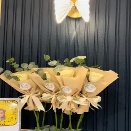 توزيعات