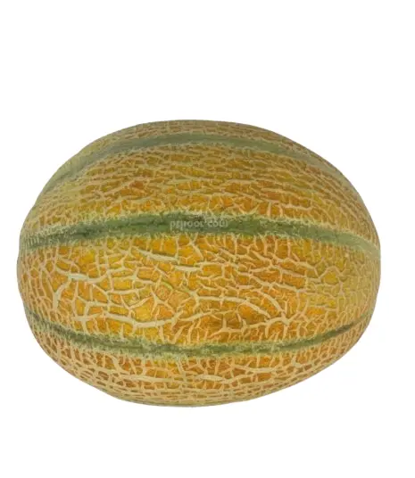 شمام منجاوي طازج