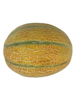 شمام منجاوي طازج