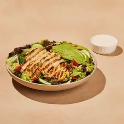 Chicken Avocado Salad