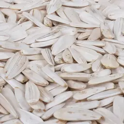 White Sunflower Seeds Spicy