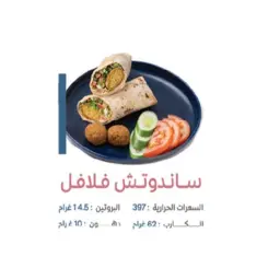 ساندوتش فلافل