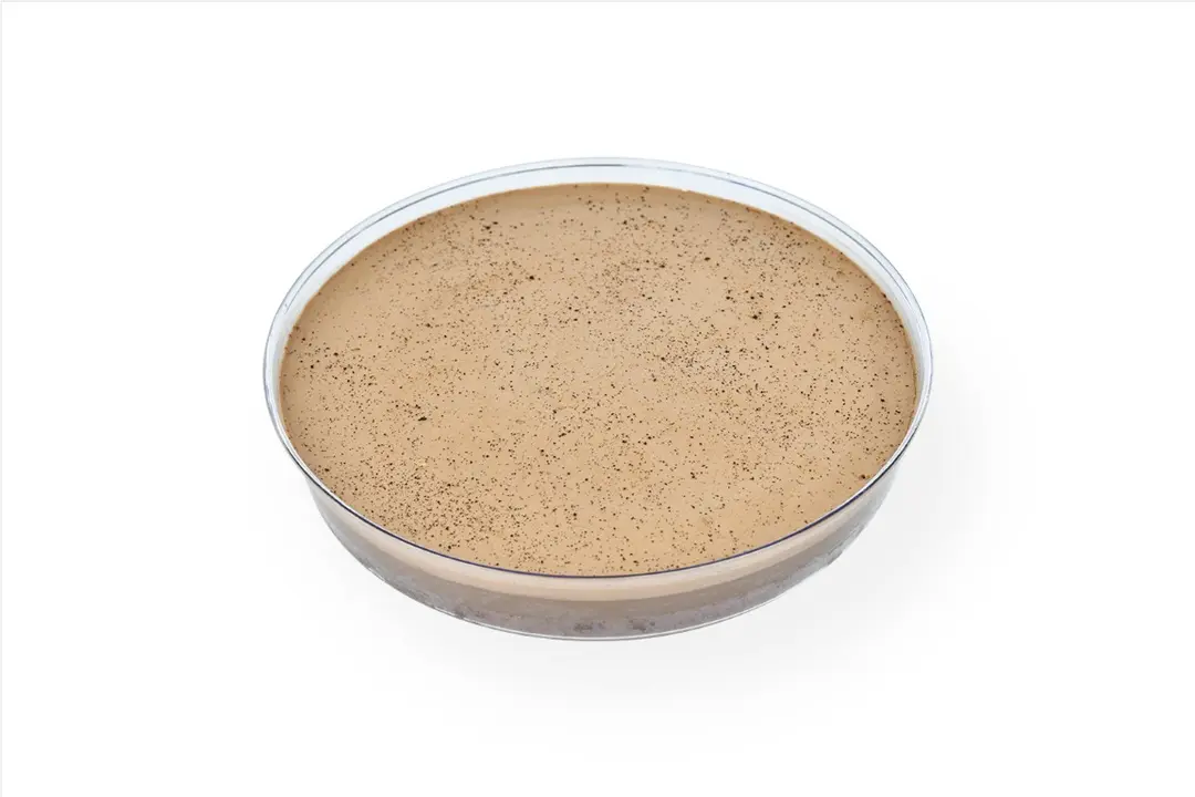 Jar Chocolate and Milk