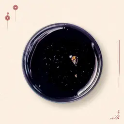 Pomegranate molasses