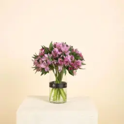 بنفسج