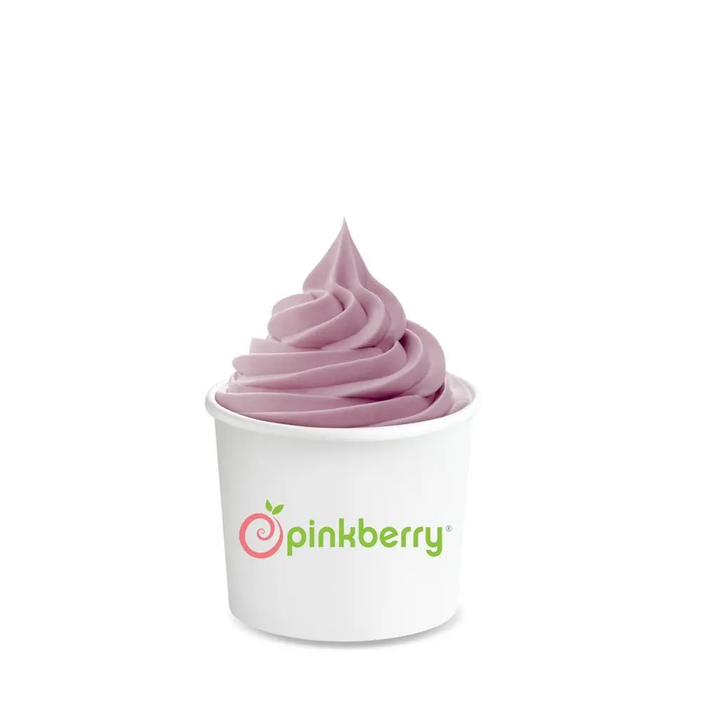 Frozen Yogurt - Small no Toppings ( 5 oz )