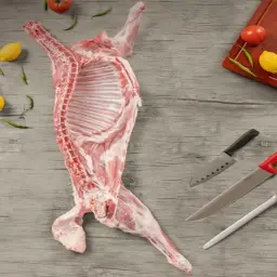 تيس بلدي بالعظم