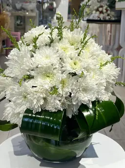باقة 19 ص