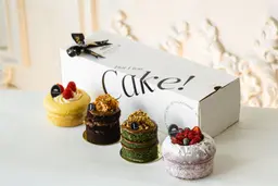 Slider Cake Box 4 Types - Without Writing