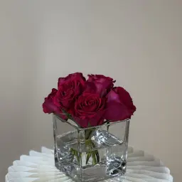 Fuchsia Magic Vase