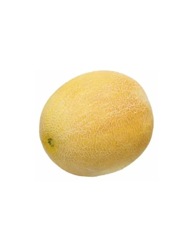 شمام عسلى طازج