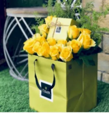 اف دبليوا 13