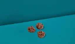 Crunchy Bites