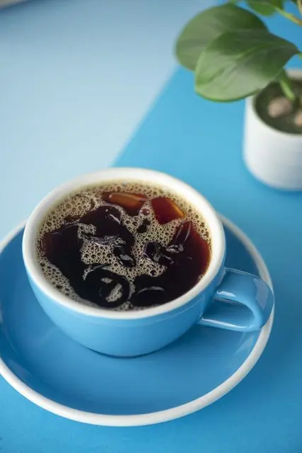 Ice Drip Coffee
