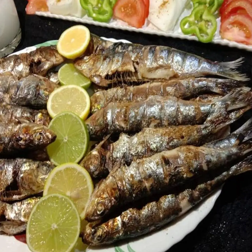 سمك سردين