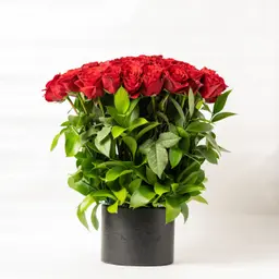 Share love in leather box - 60 Roses